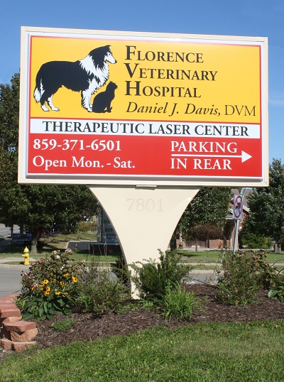 Dr. Garofolo and staff caring for a dog